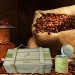 【山海觀莊園】古坑精品咖啡豆禮盒(150g/罐X3罐)